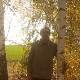 ����, �������, 59 ���