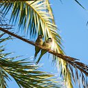 ���� ������, ������ - ��������� 3 ������ 2020 � ������ ����������