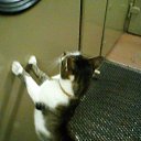 ���� �����, ������, 60 ��� - ��������� 18 ����� 2020 � ������ ���� ����������