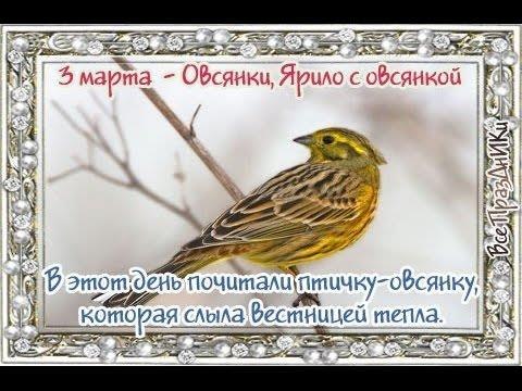   ,    . - 3  2020  18:44