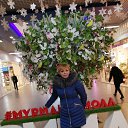 ���� �������, �������� - ��������� 5 ����� 2020 � ������ ���� ����������