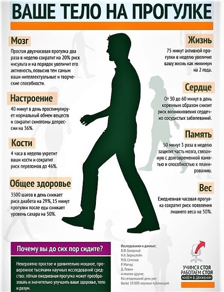 Что происходит с телом на прогулке. Живите в движении!