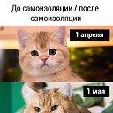 ���� �������, �������������, 44 ���� - ��������� 18 ��� 2020 � ������ ���� ����������