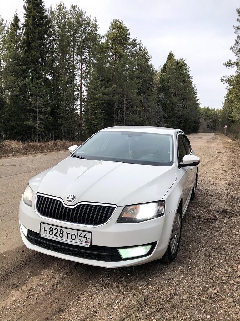  skoda octavia a7.: 162000: 1.4 (140 ):  : ...