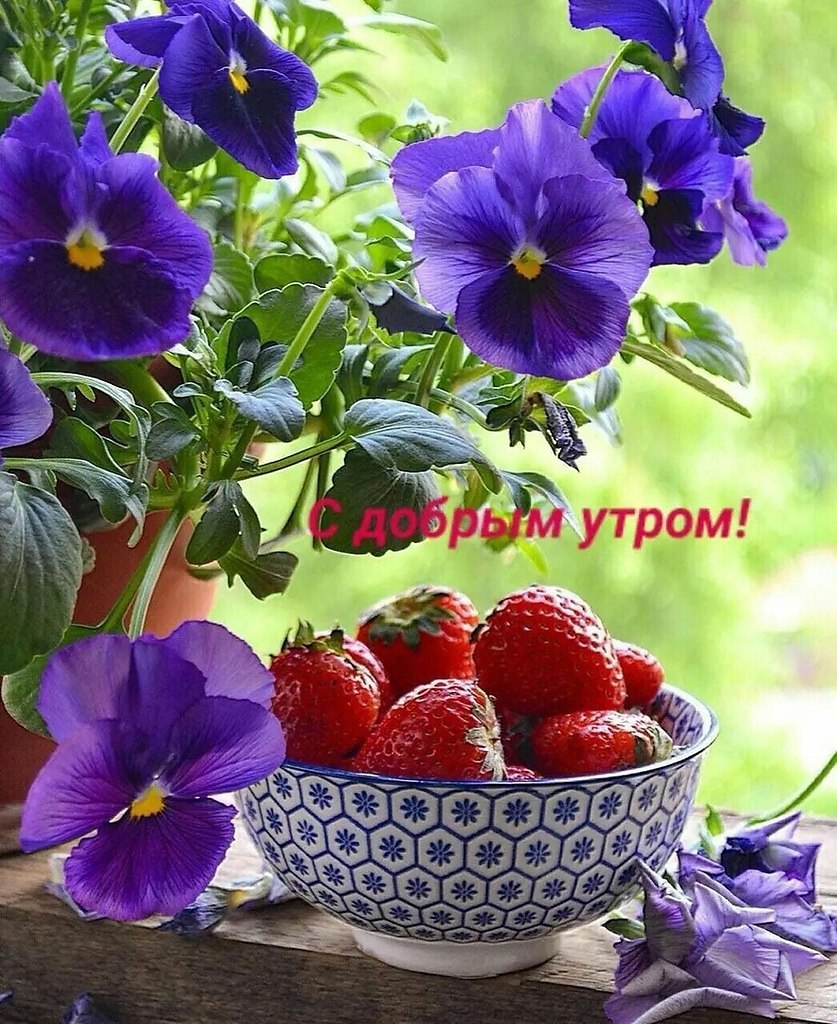   ,    . - 25  2020  22:48
