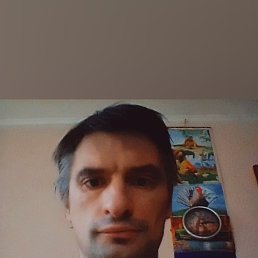 ���������, �����-���������, 48 ���