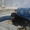 ���� ��������, �����, 58 ��� - ��������� 21 ������� 2020 � ������ ���� ����������