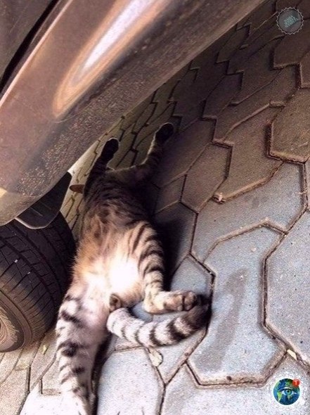  o e ap e capa! # - 3