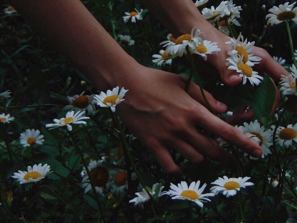   ,    . - 9  2020  22:07 - 6