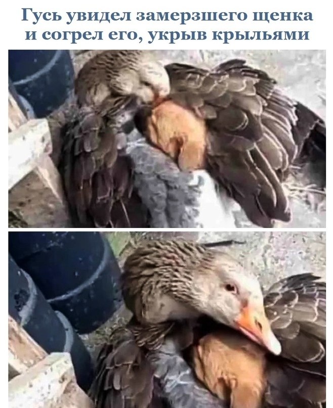   ,       - 3