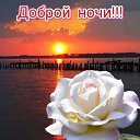 ���� ����, �����-��������� - ��������� 25 ���� 2020 � ������ ������ ��������
