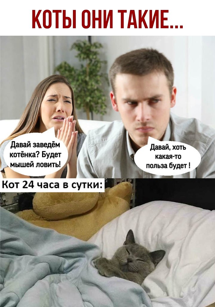  - 26  2020  21:05