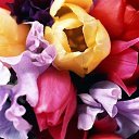 ���� ���, ������������ - ��������� 31 ���� 2020 � ������ ������ ��������