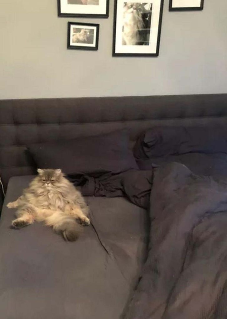  :
