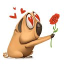  , -, 55  -  12  2020    