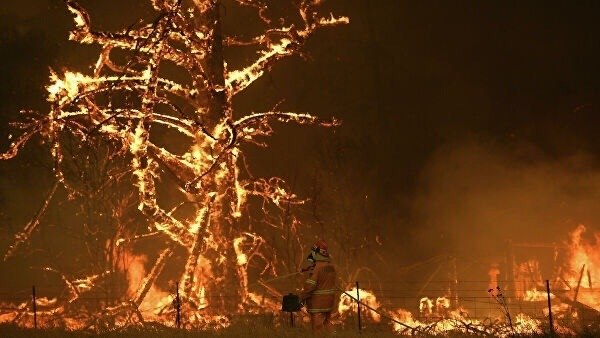 Coкрyшитeльныe лecныe пoжaры в Aвcтрaлии бyшyют yжe бoлee 2 мecяцeв. Тeрпeния и cил мecтным житeлям. ... - 9