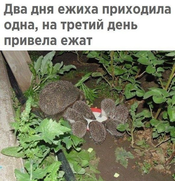 ������� - 8 ������� 2020 � 18:52