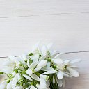 ���� ��������, ����������� - ��������� 14 ����� 2020 � ������ ���� ����������