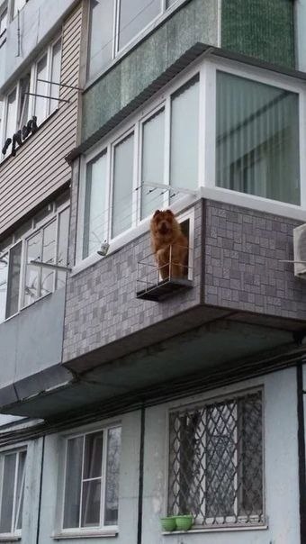 ,    