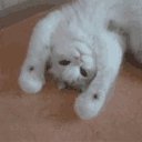 ���� ~~~Galina~~~~, ����������, 64 ���� - ��������� 8 ������ 2020 � ������ ���� ����������