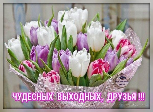   ,    . - 19  2020  21:52 - 3