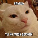  Mielena,  -  28  2020    