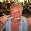 ���� Aleksandr-56, ����������� - ��������� 3 ������� 2020 � ������ ���� ����������