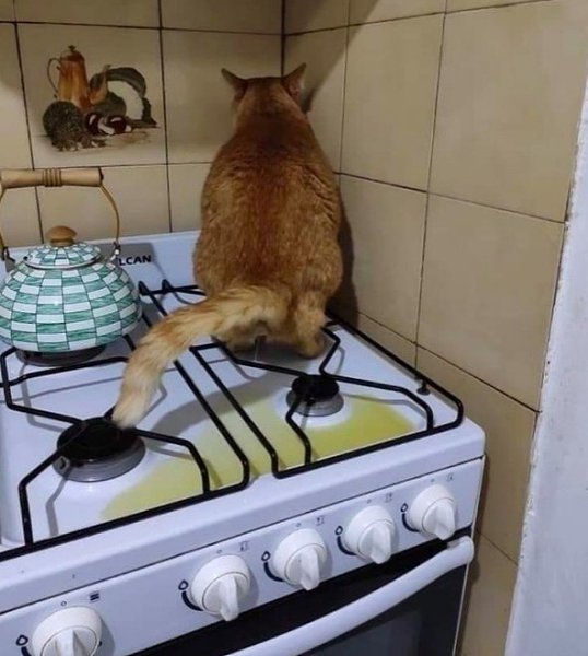     ,     