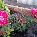  ,  -  3  2020     2020