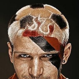 ����, �����-��������, 55 ���