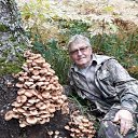 ���� ������, �����, 76 ��� - ��������� 7 ����� 2020 � ������ ���� ����������