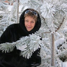 , 54, 