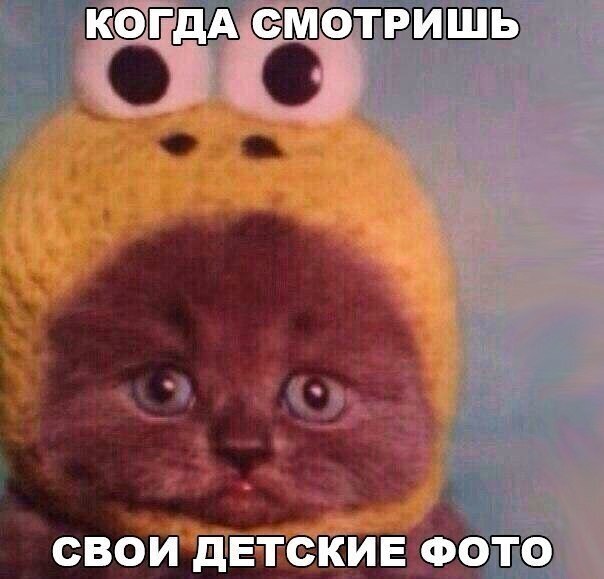    - 2  2020  19:06