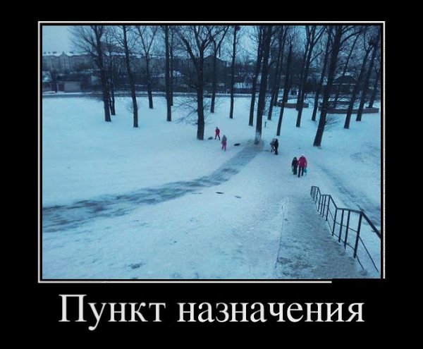   - 21  2020  03:41