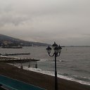 ,  ,06.01.20.8.55.   , 2020