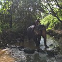  , , 50  -  6  2020   ---2019-Hikka Ocean Resort