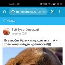 ���� �����, ����� - ��������� 3 ���� 2020 � ������ ���� ����������