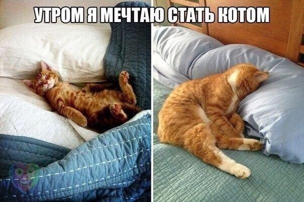   !)))