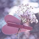 ���� ��������, �������, 64 ���� - ��������� 5 ����� 2020 � ������ ������ ��������