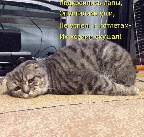    - 10  2020  18:47