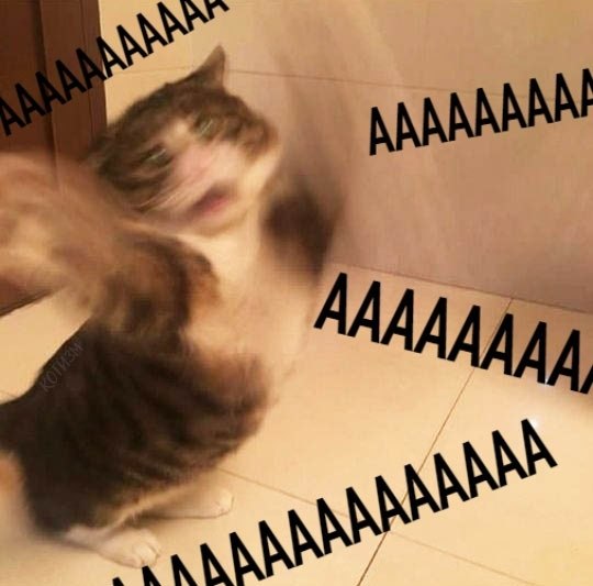     : - 5