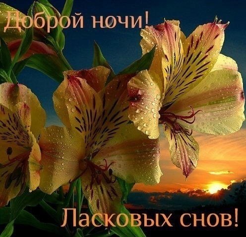   ,    . - 9  2020  21:12