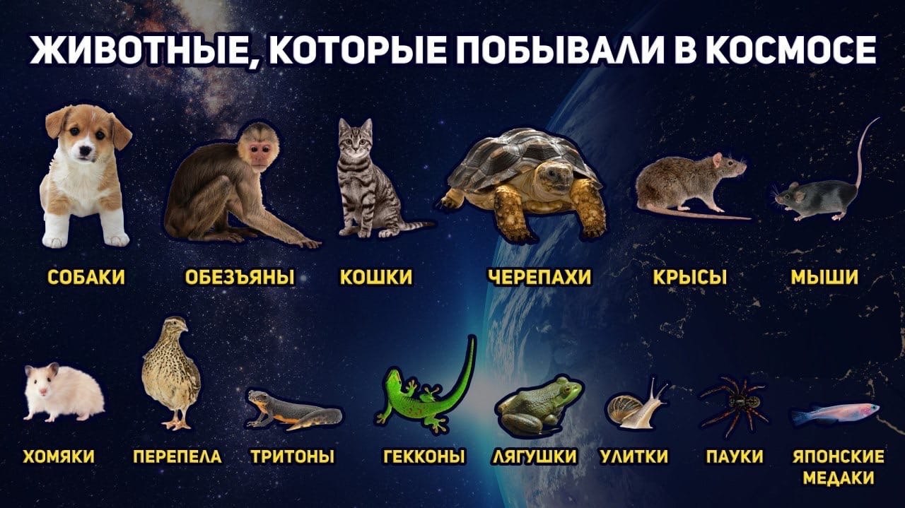 TECHNOLOGY -   - 16  2020  21:29