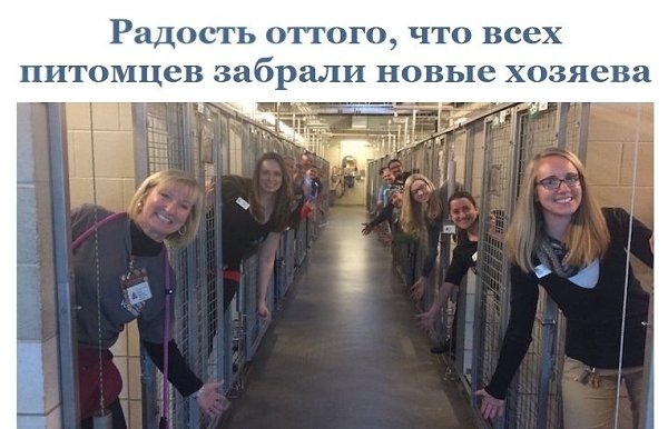 Подборка классных фотографий, от которых станет теплее на душе
