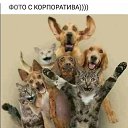 ���� Cristalic, ����������� - ��������� 28 ��� 2020 � ������ ������ ��������