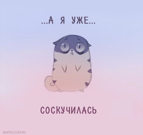   ,    . - 2  2020  21:24 - 4