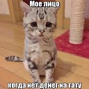 ���� ���, ������-���, 47 ��� - ��������� 14 ������ 2020 � ������ ������ ��������