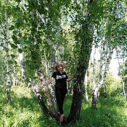 ����, �������, 50 ���