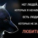 ���� ������, ������, 49 ��� - ��������� 4 ����� 2020