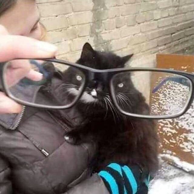 ,     -   - 9